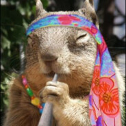 An Incredibly Stoned Squirrel