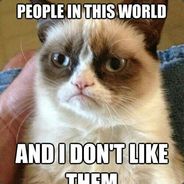 MADCAT!