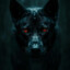 blackdog6621