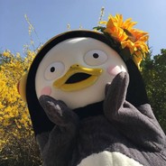 DdunDdun