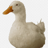 СЛЮНЯВЫЙ ЖИГАН