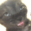 kon avatar