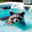 A Raccoon in a Hot Tub