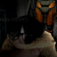 amugus spy