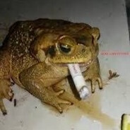 kva - steam id 76561198250931346