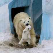 江畔何年初见月