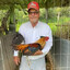 Chicken lover
