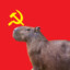 Communist_Capybara