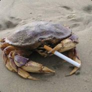 改名字看比赛掉装备