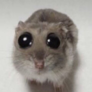 L1mek(ง°ل͜°)ง SKINS