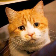 丿似梦丶非梦丨