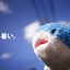 AOKO