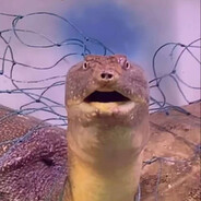 穿越成为待宰的王八