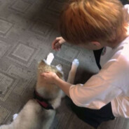 等不到那句晚安。