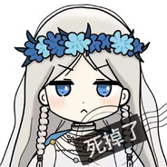 我是区，请不要查我DPS喵