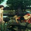 Narcissus