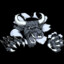 Bull