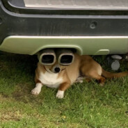 淫物潜入迷人眼