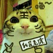 火枪小黑加幽鬼