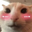 SAMØVAR𝙙𝙚𝙖𝙙