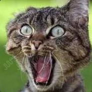 kONSTANtynoPOLItANCZYkowiaNECZKA