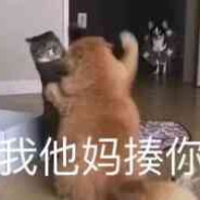 忠肝义胆吴三桂