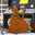 Scooby doo papa