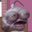 v Mikl