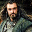 Thorin Oakenshield