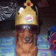 furry dictator