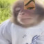 Я КОЛЯ