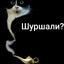 Пжежецкий С.Д.