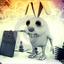 Mr.rabbit