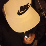 Leansii