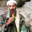 Osama Bin Blazin