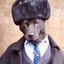 kxu's avatar
