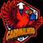 cardinalnerd