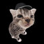 Cat meow