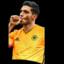 Raul Jimenez