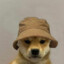 toto