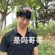 宇宙无敌大飞船airship