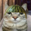 donixur_