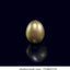 Gold&#039;Egg(ノಠ益ಠ)ノ彡