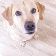 猪猪猪猪猪猪猪猪猪1111