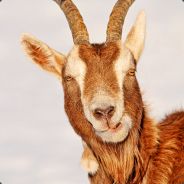TheGoatMan - steam id 76561197964353554