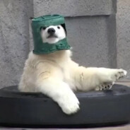 Him