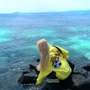 爱吃樱桃的木头