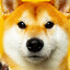 InurasoShiba