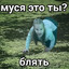толик