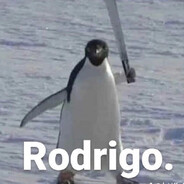Rodrigo